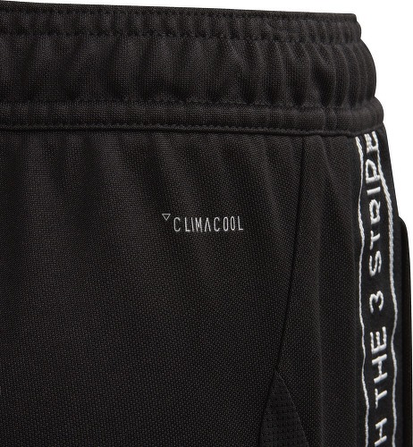 adidas Performance-Tiro19 Tp - Pantalon-3