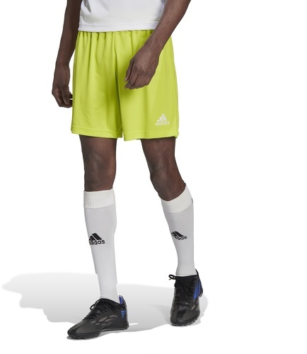 adidas Performance-Entrada 22 - Short de football-3
