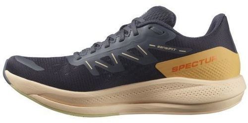 SALOMON-Spectur-1