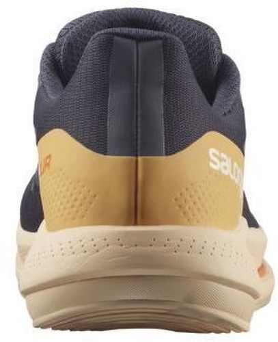 SALOMON-Spectur-3