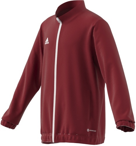 adidas Performance-Ent22 Pre - Veste-1