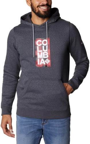 Columbia-Sweatshirt à capuche Columbia CSC Basic Logo II-image-1