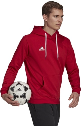 adidas Performance-Felpa con cappuccio Entrada 22 Sweat-2