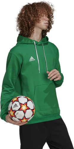 adidas Performance-Ent22 - Sweat de football-2