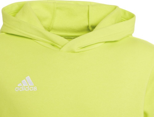 adidas Performance-Ent22 - Sweat-4