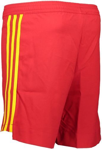 adidas Performance-38 Rbfa Hho Ycarle - Short de football-1