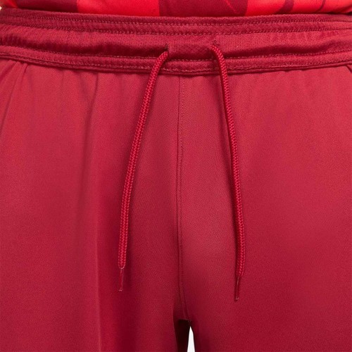 NIKE-Short Galatasaray Sk Maillot Domicile Stadium 2021-2022-1