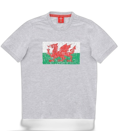 MACRON-Pays De Galles Rugby Xv 2020/21 - T-shirt de rugby-0