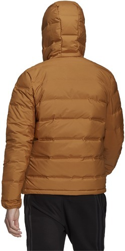 adidas Sportswear-Helionic Ed - Veste de randonnée-1