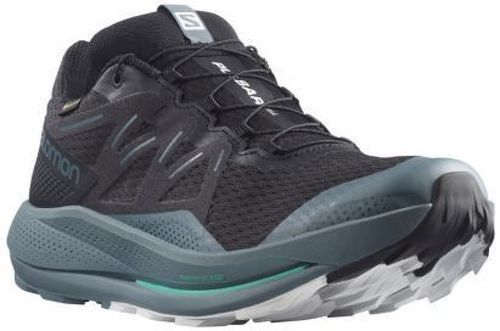 SALOMON-Pulsar Trail Gtx-2