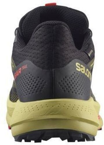 SALOMON-Pulsar Trail Gore Tex-3