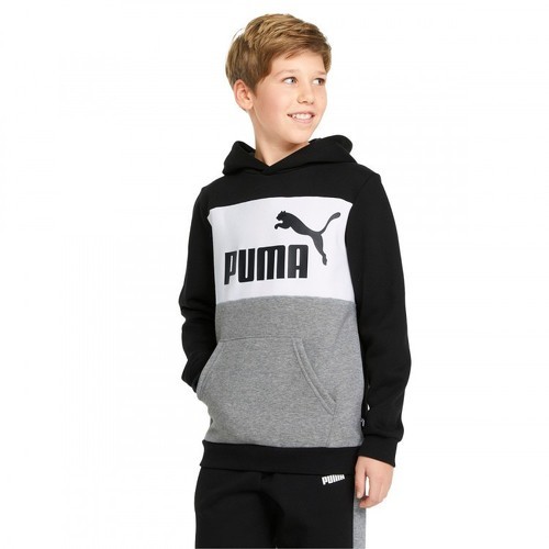 PUMA-Puma Essentials + Colorblock - Sweat-1
