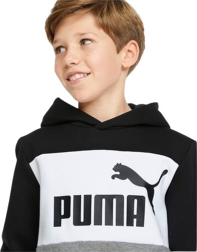 PUMA-Puma Essentials + Colorblock - Sweat-3