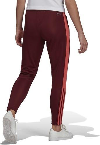 adidas Performance-Pantaloni Tiro Essential-1