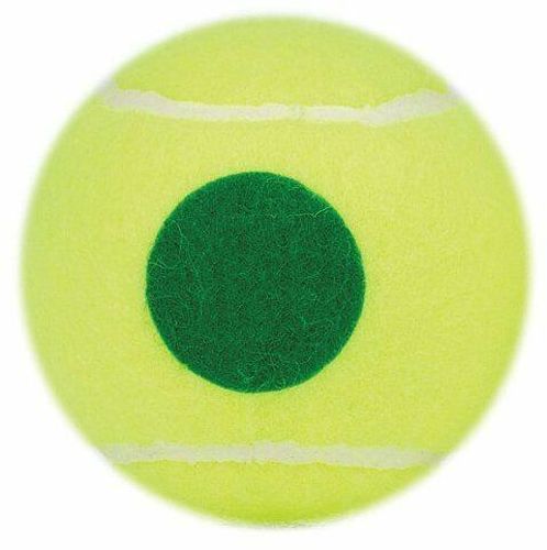 PRINCE-Sachet 12 Balles Prince Play & Stay-1
