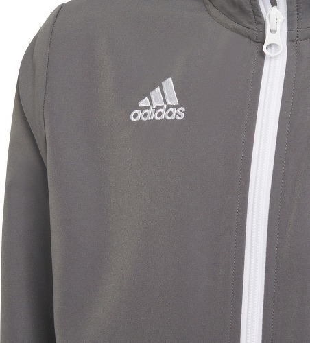 adidas Performance-Ent22 Pre - Veste-2