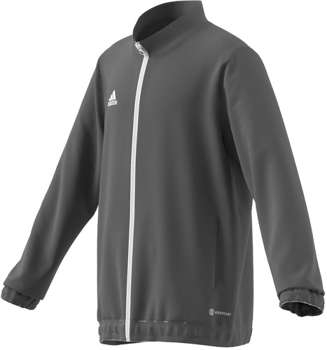 adidas Performance-Ent22 Pre - Veste-4