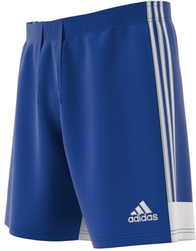 adidas Performance-Short Tastigo 19-2