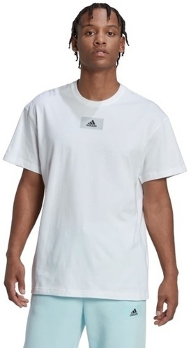 adidas Sportswear-M Fv T-1