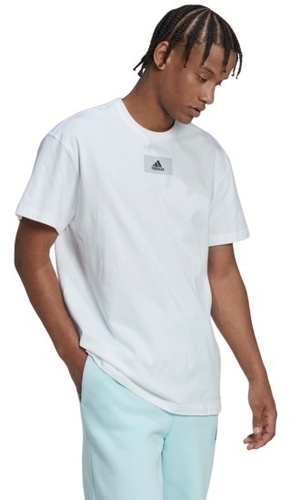 adidas Sportswear-M Fv T-2