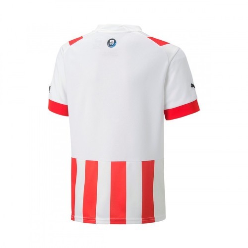 PUMA-Puma Psv Eindhoven 2022-2023-1