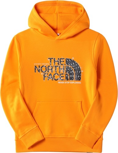 THE NORTH FACE-The North Face Teens Drew Peak P/O Hoodie (Kids)-image-1