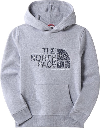 THE NORTH FACE-TEENS DREW PEAK P/O HOODIE-image-1