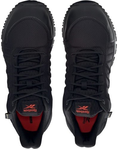REEBOK-Astroride Gore-Tex 2.0-4