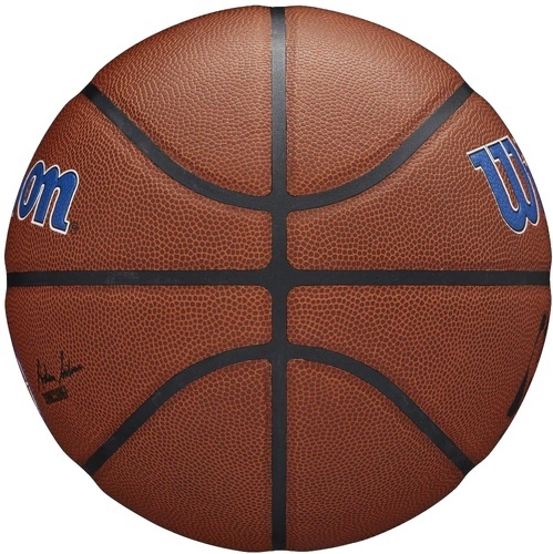 WILSON-Wilson Team Alliance Detroit Pistons Ball-2