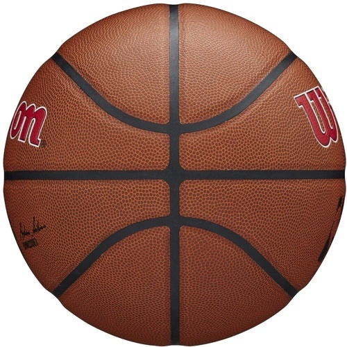 WILSON-Nba Toronto Raptors Wilson Team Alliance Exterieur - Ballons de basketball-2