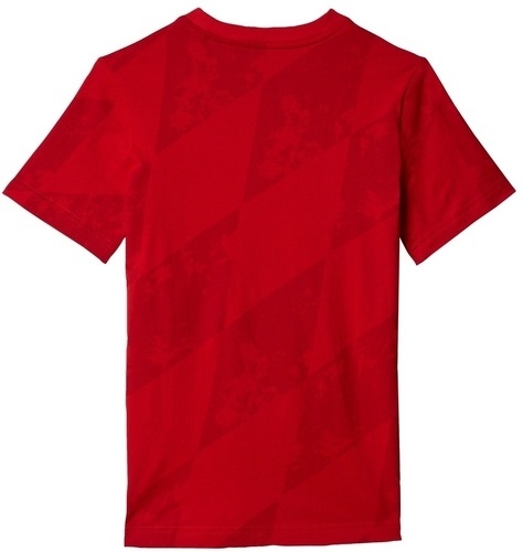 adidas Performance-T-shirt FC Bayern Munich-1