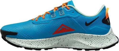 NIKE-Pegasus Trail 3-1