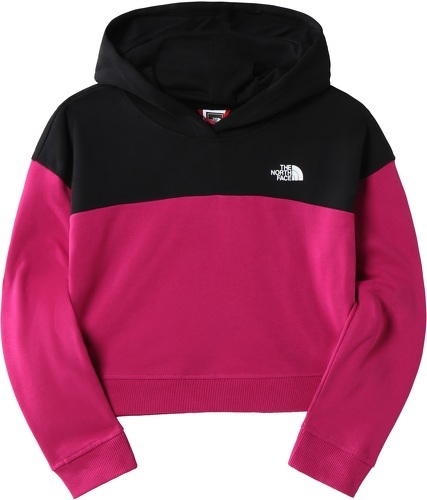 THE NORTH FACE-The North Face G Drew Peak Cropped P/O Hoodie-image-1