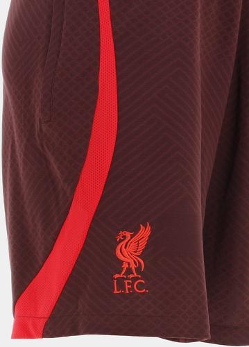 NIKE-Liverpool Fc Short-3