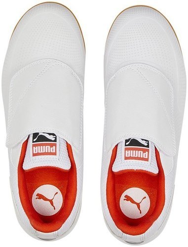 PUMA-Truco 3 V-4