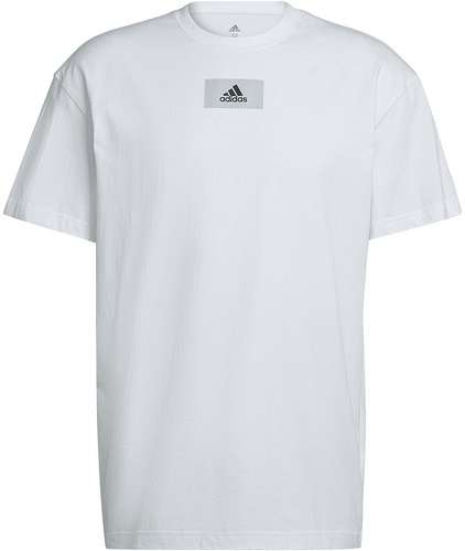 adidas Sportswear-M Fv T-0