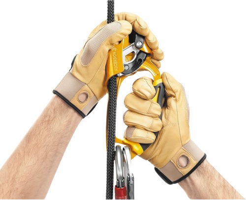 PETZL-Petzl Ascension Climbing - Baudrier d'escalade-3