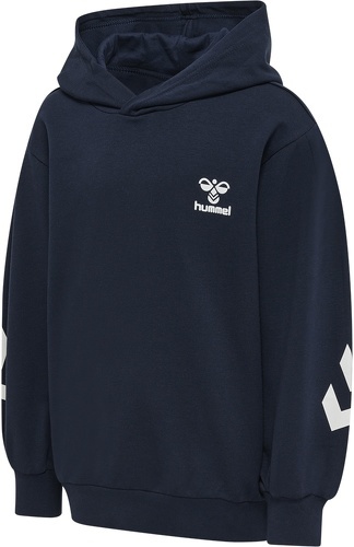 HUMMEL-Hmldue Hoodie-0