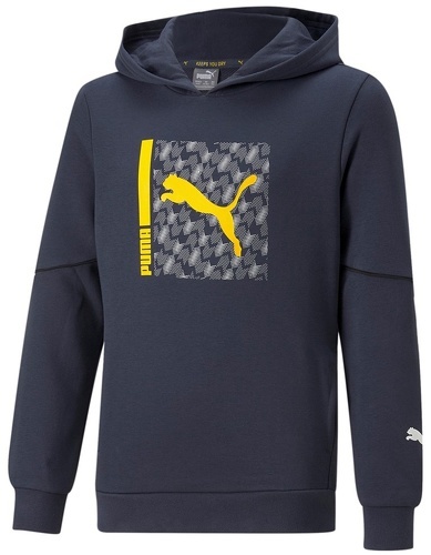 PUMA-Active Sports Hoodie Tr B-0
