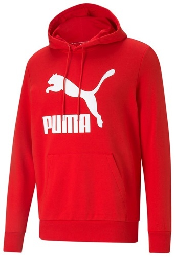 PUMA-Classics Logo Tr Hoody-image-1