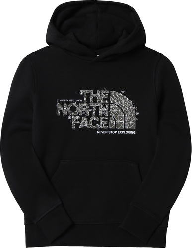 THE NORTH FACE-The North Face Teens Drew Peak P/O Hoodie-0