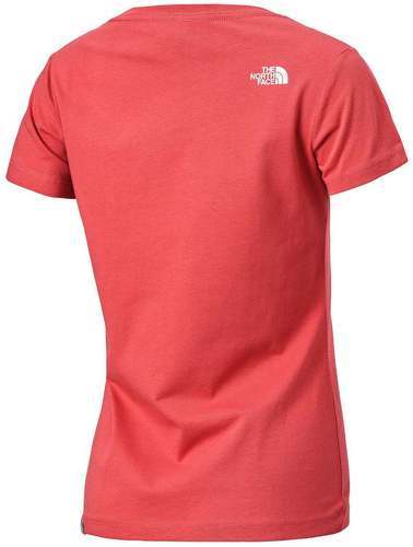 THE NORTH FACE-The North Face W Never Stop Exploring Tee Slate Rose-1