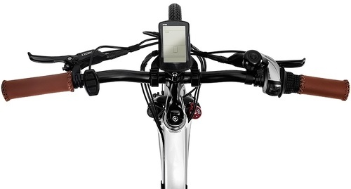 Cycle Denis-Cycle Denis Lutecia 26 522Wh T46 Vélo Électrique De Ville - Pour cycliste de 1,55m à 1,80m-4
