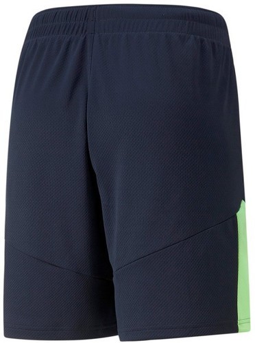 PUMA-Puma Shorts Individualfinal-1