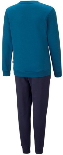 PUMA-Puma Logo Sweat Suit-1