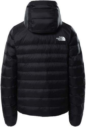 THE NORTH FACE-Aconcagua - Manteau-1