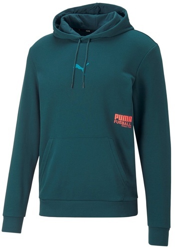 PUMA-FUSSBALL STREET HOODY-image-1