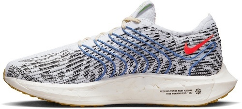 NIKE-Pegasus Turbo Next Nature-1
