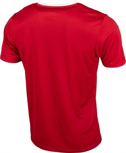 PUMA-République Tchèque Maillot De Foot Domicile-2