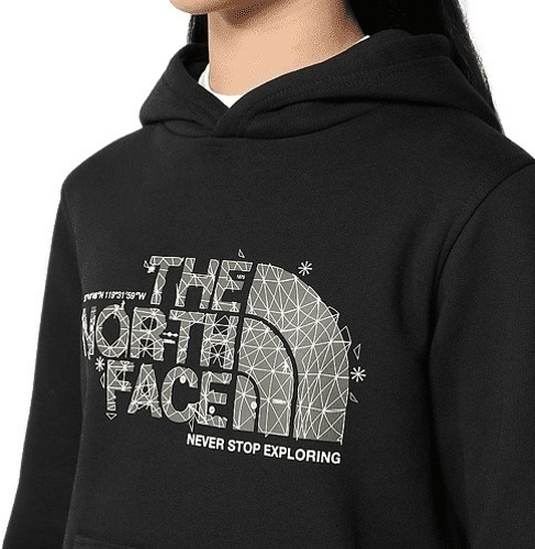 THE NORTH FACE-The North Face Teens Drew Peak P/O Hoodie-3